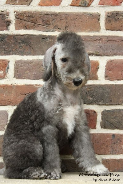 Antares 2009-08-01 & 02 (36).JPG